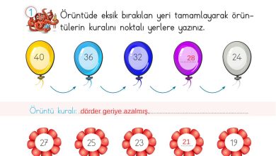 2. Sınıf Meb Yayınları Matematik Ders Kitabı Sayfa 49 Cevapları