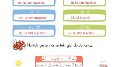 2. Sınıf Meb Yayınları Matematik Ders Kitabı Sayfa 54 Cevapları