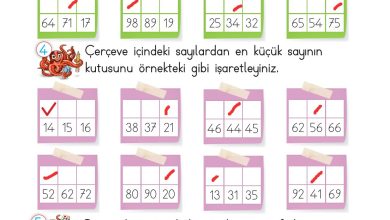 2. Sınıf Meb Yayınları Matematik Ders Kitabı Sayfa 55 Cevapları