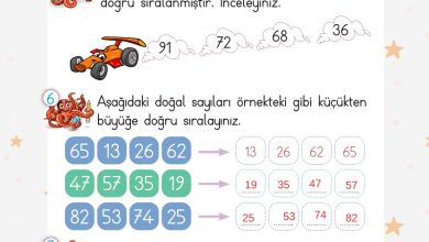 2. Sınıf Meb Yayınları Matematik Ders Kitabı Sayfa 56 Cevapları