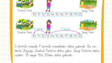 2. Sınıf Meb Yayınları Matematik Ders Kitabı Sayfa 60 Cevapları