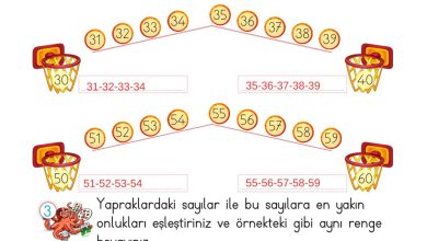 2. Sınıf Meb Yayınları Matematik Ders Kitabı Sayfa 62 Cevapları