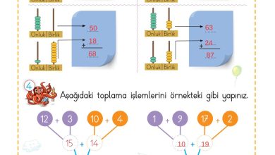 2. Sınıf Meb Yayınları Matematik Ders Kitabı Sayfa 67 Cevapları