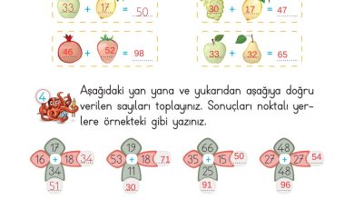 2. Sınıf Meb Yayınları Matematik Ders Kitabı Sayfa 74 Cevapları