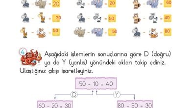 2. Sınıf Meb Yayınları Matematik Ders Kitabı Sayfa 87 Cevapları