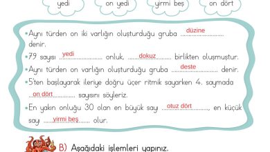 2. Sınıf Meb Yayınları Matematik Ders Kitabı Sayfa 88 Cevapları