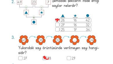 2. Sınıf Meb Yayınları Matematik Ders Kitabı Sayfa 89 Cevapları