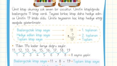 2. Sınıf Meb Yayınları Matematik Ders Kitabı Sayfa 93 Cevapları