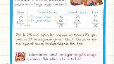 2. Sınıf Meb Yayınları Matematik Ders Kitabı Sayfa 96 Cevapları