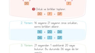 2. Sınıf Meb Yayınları Matematik Ders Kitabı Sayfa 99 Cevapları