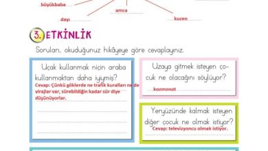 2. Sınıf Türkçe Ada Matbaacılık Yayıncılık Sayfa 113 Cevapları