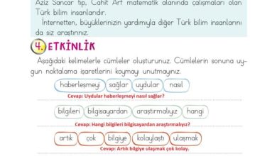 2. Sınıf Türkçe Ada Matbaacılık Yayıncılık Sayfa 159 Cevapları