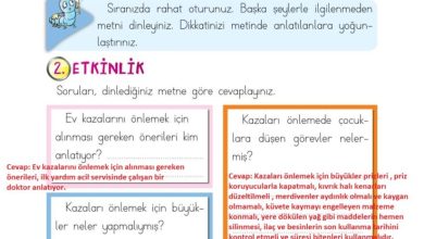 2. Sınıf Türkçe Ada Matbaacılık Yayıncılık Sayfa 167 Cevapları