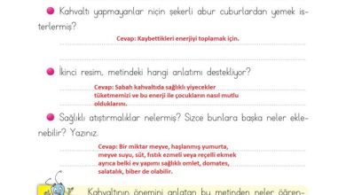 2. Sınıf Türkçe Ada Matbaacılık Yayıncılık Sayfa 180 Cevapları