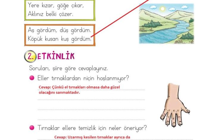 2. Sınıf Türkçe Ada Matbaacılık Yayıncılık Sayfa 186 Cevapları