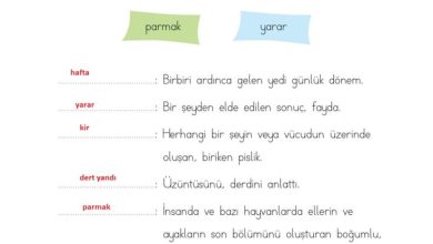 2. Sınıf Türkçe Ada Matbaacılık Yayıncılık Sayfa 187 Cevapları