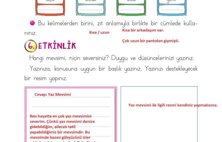 2. Sınıf Türkçe Ada Matbaacılık Yayıncılık Sayfa 217 Cevapları