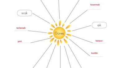 2. Sınıf Türkçe Ada Matbaacılık Yayıncılık Sayfa 221 Cevapları