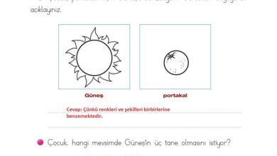 2. Sınıf Türkçe Ada Matbaacılık Yayıncılık Sayfa 222 Cevapları