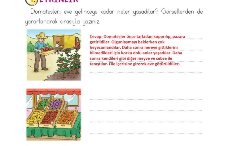 2. Sınıf Türkçe Ada Matbaacılık Yayıncılık Sayfa 233 Cevapları