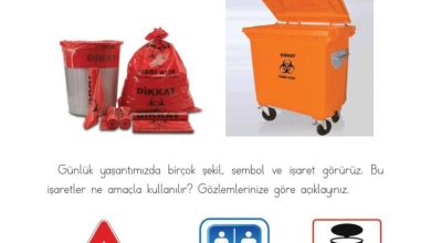 2. Sınıf Türkçe Ada Matbaacılık Yayıncılık Sayfa 241 Cevapları