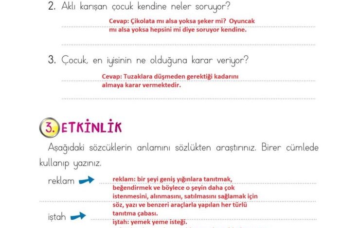 2. Sınıf Türkçe Ada Matbaacılık Yayıncılık Sayfa 250 Cevapları