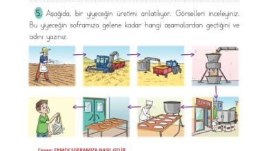 2. Sınıf Türkçe Ada Matbaacılık Yayıncılık Sayfa 256 Cevapları