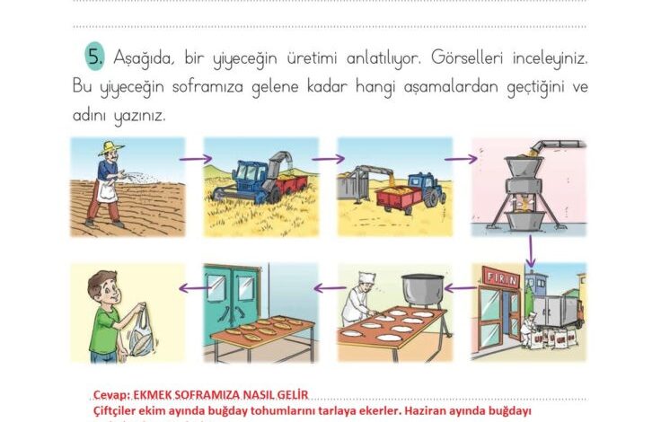 2. Sınıf Türkçe Ada Matbaacılık Yayıncılık Sayfa 256 Cevapları