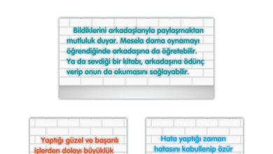 2. Sınıf Türkçe Ada Matbaacılık Yayıncılık Sayfa 28 Cevapları