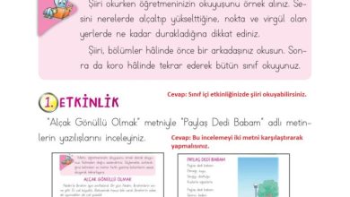 2. Sınıf Türkçe Ada Matbaacılık Yayıncılık Sayfa 34 Cevapları