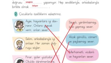 2. Sınıf Türkçe Ada Matbaacılık Yayıncılık Sayfa 39 Cevapları