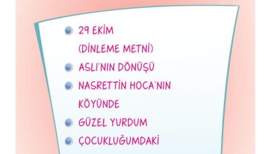 2. Sınıf Türkçe Ada Matbaacılık Yayıncılık Sayfa 41 Cevapları