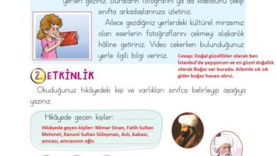 2. Sınıf Türkçe Ada Matbaacılık Yayıncılık Sayfa 51 Cevapları