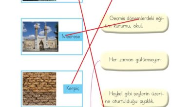 2. Sınıf Türkçe Ada Matbaacılık Yayıncılık Sayfa 59 Cevapları