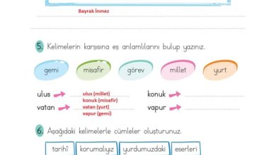 2. Sınıf Türkçe Ada Matbaacılık Yayıncılık Sayfa 70 Cevapları