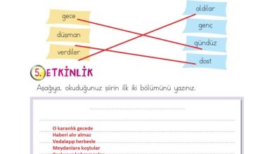 2. Sınıf Türkçe Ada Matbaacılık Yayıncılık Sayfa 95 Cevapları