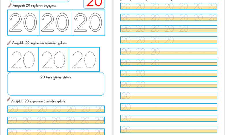 20 Sayısı Öğretimi (Yeni Müfredata Uygun)