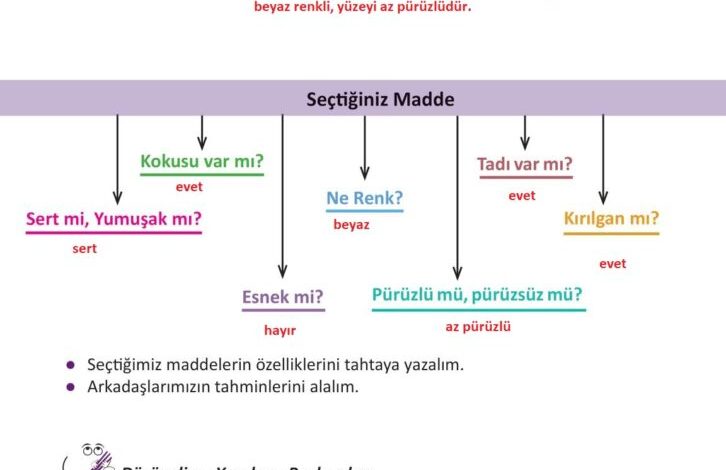 3. Sınıf Fen Bilimleri Meb Yayınları Sayfa 103 Cevapları