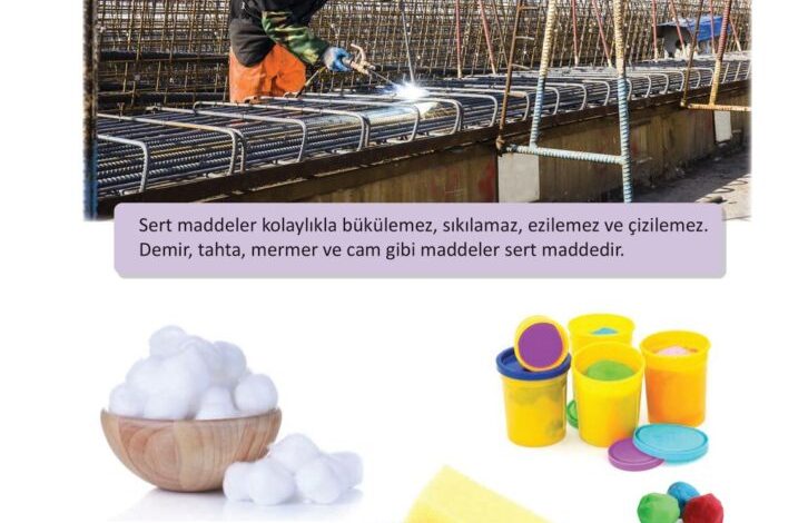 3. Sınıf Fen Bilimleri Meb Yayınları Sayfa 106 Cevapları