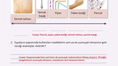 3. Sınıf Fen Bilimleri Meb Yayınları Sayfa 107 Cevapları