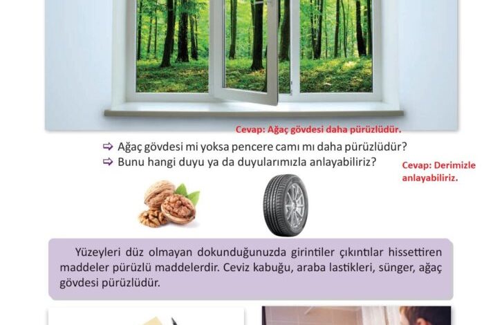 3. Sınıf Fen Bilimleri Meb Yayınları Sayfa 109 Cevapları