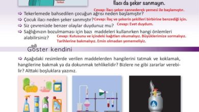 3. Sınıf Fen Bilimleri Meb Yayınları Sayfa 114 Cevapları