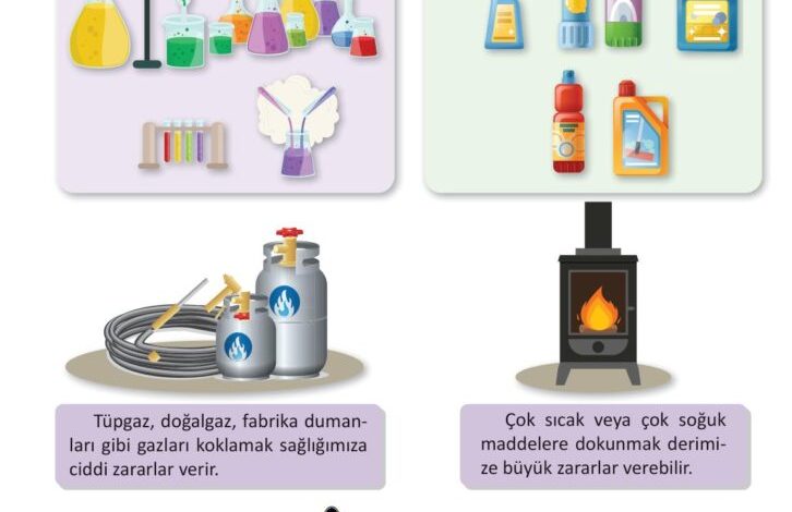 3. Sınıf Fen Bilimleri Meb Yayınları Sayfa 116 Cevapları