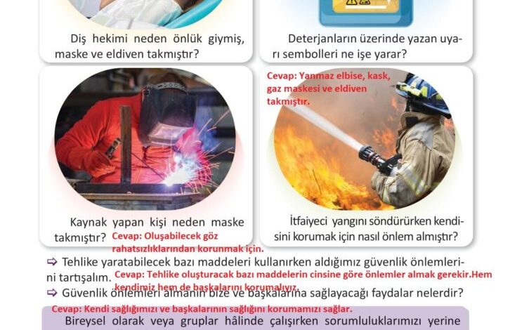 3. Sınıf Fen Bilimleri Meb Yayınları Sayfa 117 Cevapları