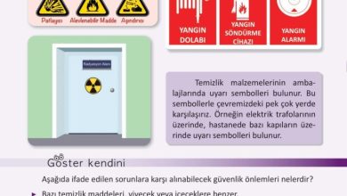 3. Sınıf Fen Bilimleri Meb Yayınları Sayfa 118 Cevapları