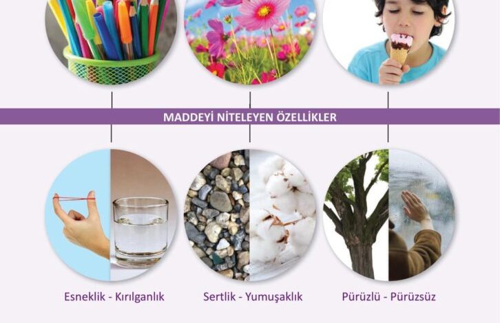 3. Sınıf Fen Bilimleri Meb Yayınları Sayfa 119 Cevapları