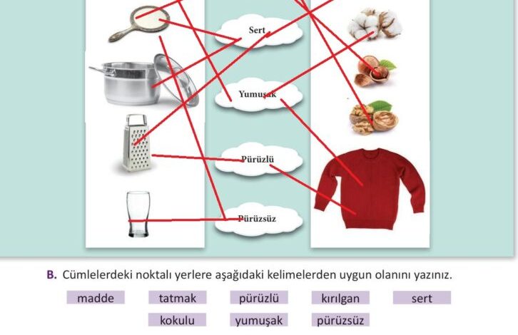 3. Sınıf Fen Bilimleri Meb Yayınları Sayfa 120 Cevapları