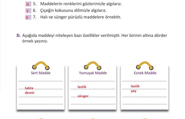 3. Sınıf Fen Bilimleri Meb Yayınları Sayfa 121 Cevapları