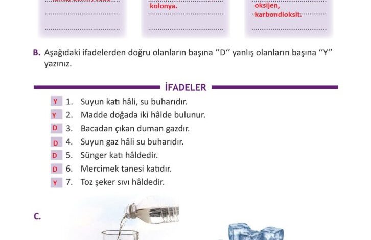 3. Sınıf Fen Bilimleri Meb Yayınları Sayfa 130 Cevapları