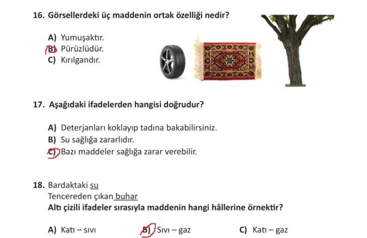 3. Sınıf Fen Bilimleri Meb Yayınları Sayfa 135 Cevapları